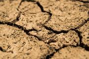 Government £65m drought 'package' aims to help growers